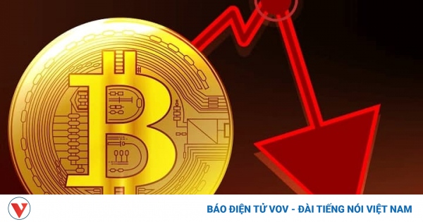 Tin mới nhất về Bitcoin: Giá Bitcoin biến động khó lường, sẽ sớm có 