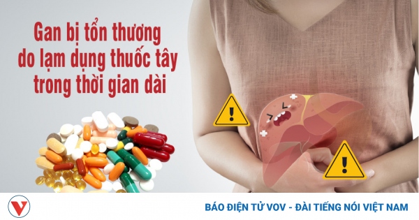 Thuốc mát gan giải độc đông dược Việt có tác dụng giảm đau gan không?
