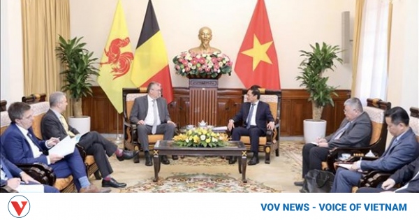 FM hoan nghênh sự ủng hộ của Walloon Brussels cho Việt Nam