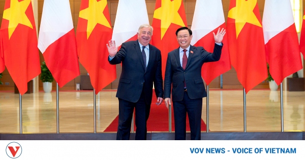 France supports decentralized cooperation with Vietnam, says Gerard Larcher