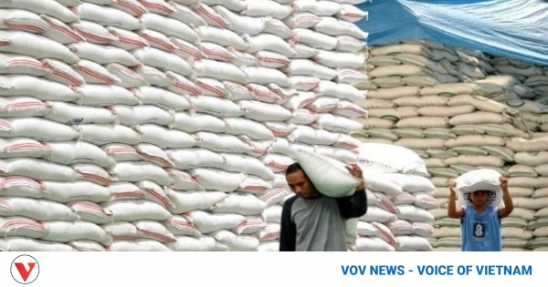 Senegal increases rice imports from Vietnam