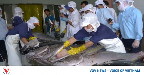 Eksport tuńczyka do Polski wzrósł w ciągu dwóch miesięcy o 786%.